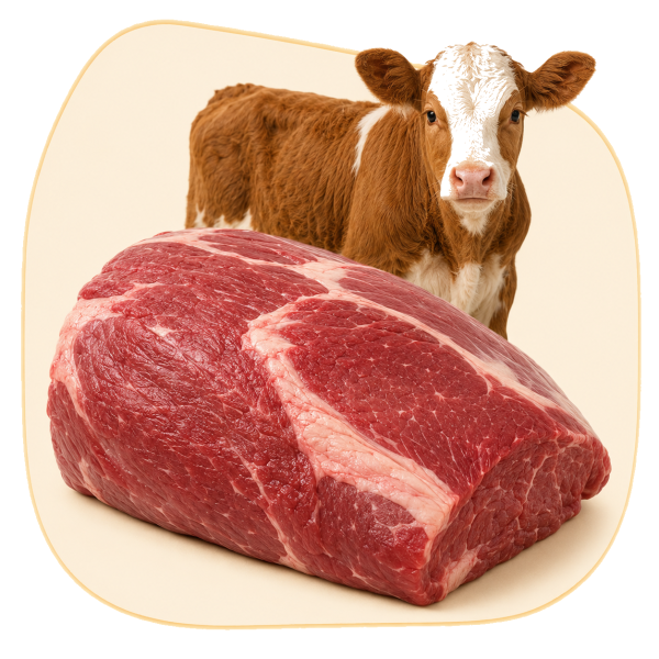 Beef